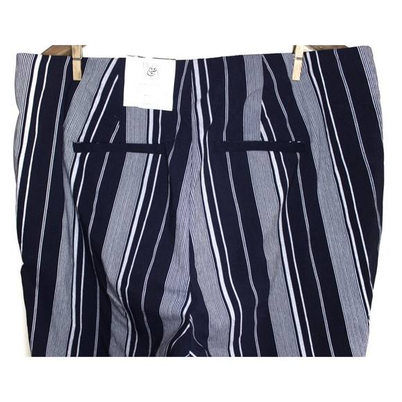 Roz & Ali Stripe Pull On Classic Fit Ankle Pant 16 - Picture 5 of 8